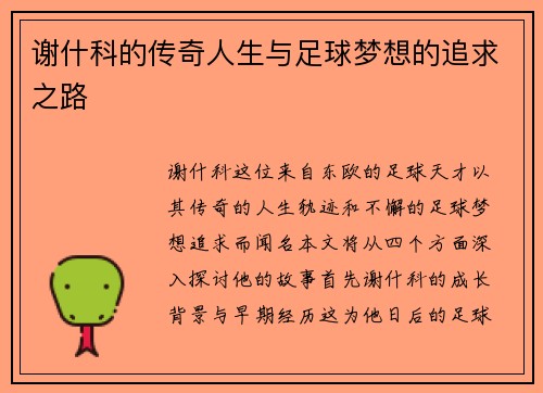 谢什科的传奇人生与足球梦想的追求之路