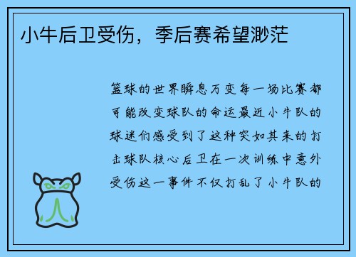 小牛后卫受伤，季后赛希望渺茫