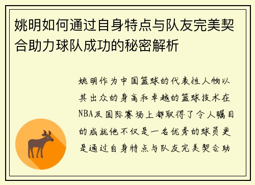 姚明如何通过自身特点与队友完美契合助力球队成功的秘密解析