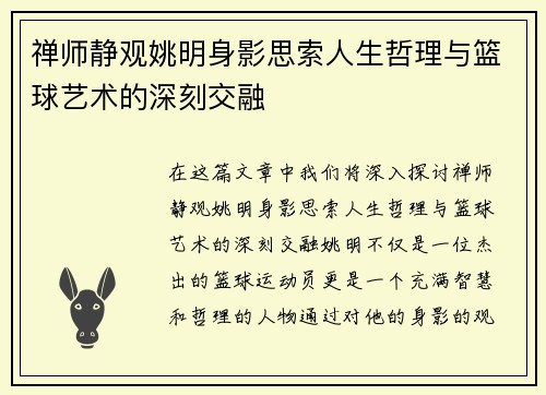 禅师静观姚明身影思索人生哲理与篮球艺术的深刻交融