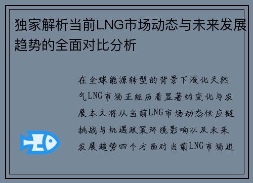 独家解析当前LNG市场动态与未来发展趋势的全面对比分析