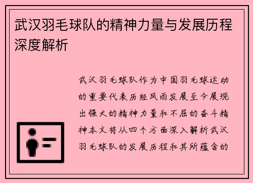 武汉羽毛球队的精神力量与发展历程深度解析